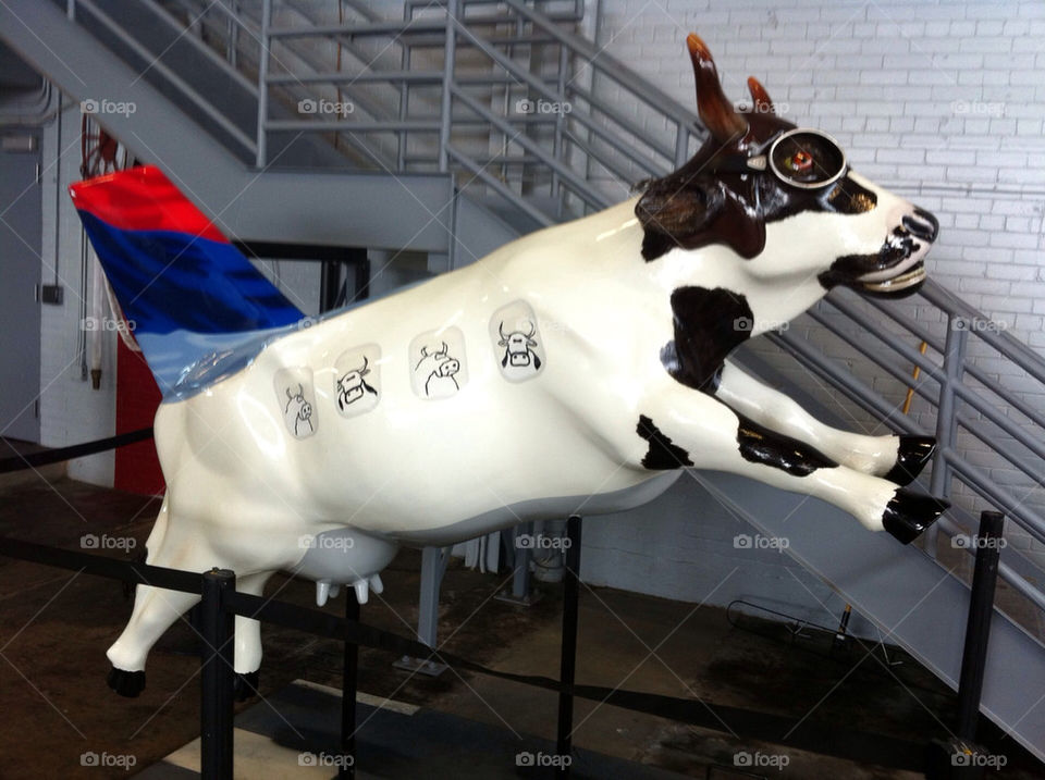 airplane flying plane cow by serion