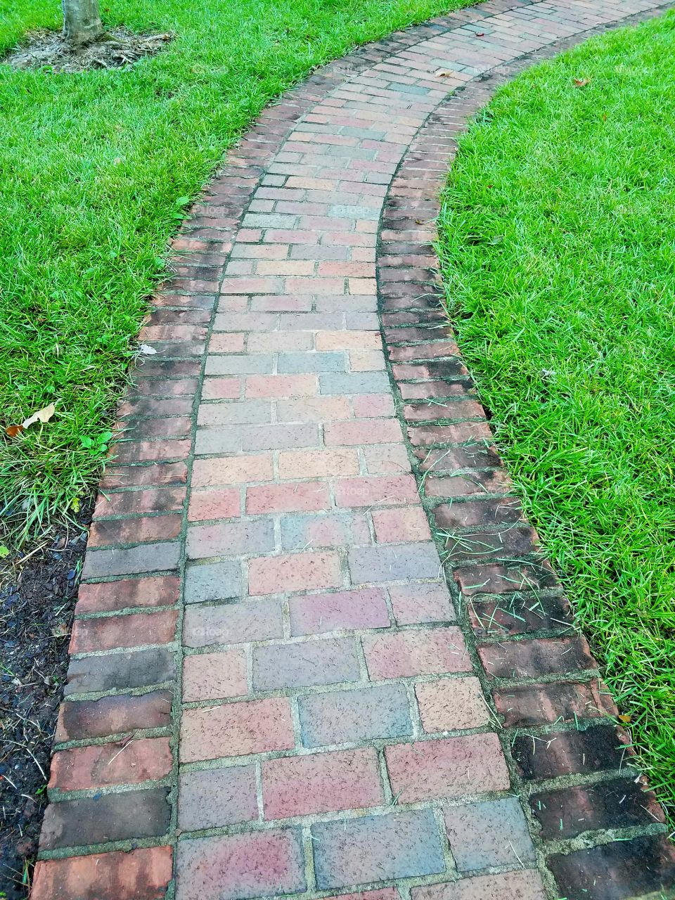 brick path