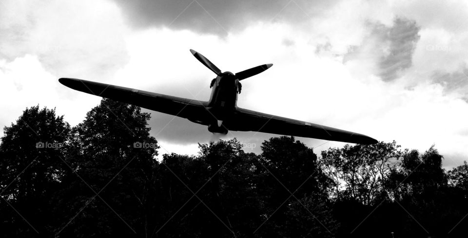 Friendly . Taken in Windsor 