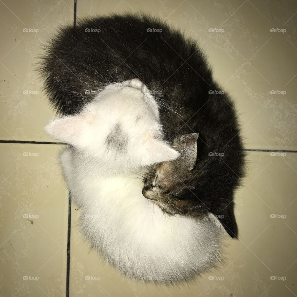 Ying yang
