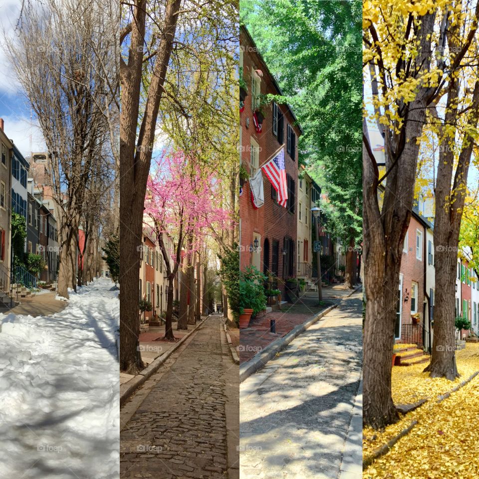 The four seasons of Quince Street
