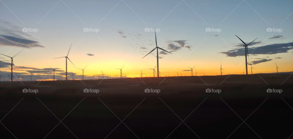 windmills at sunset