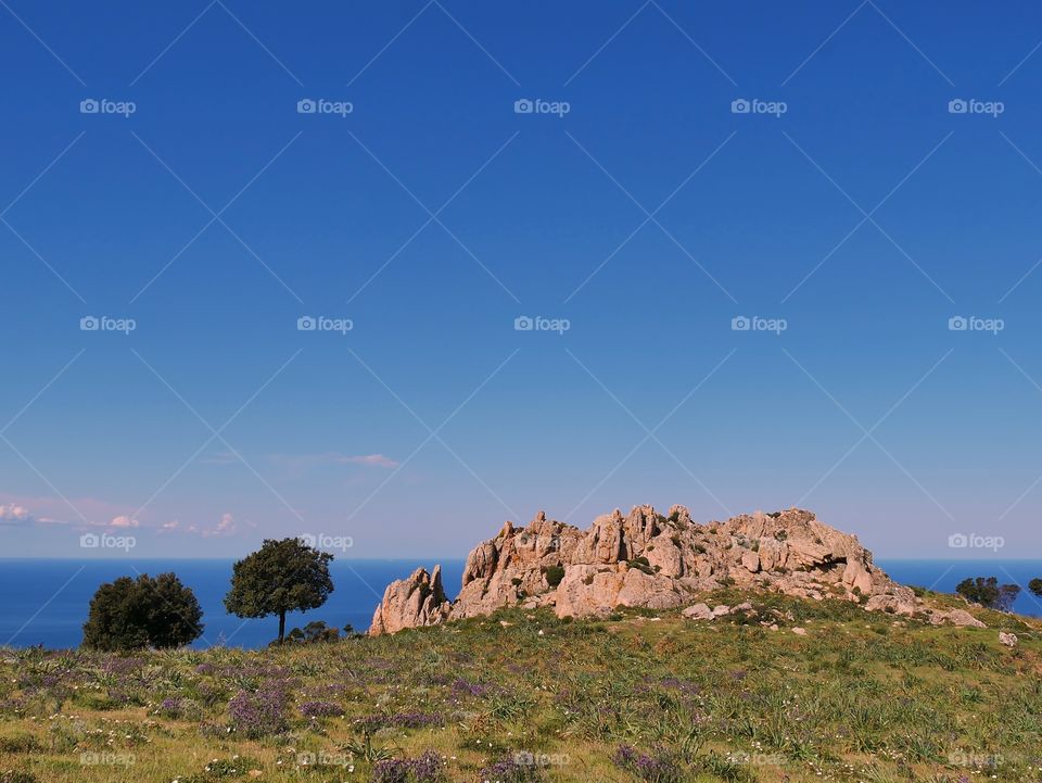 corsica