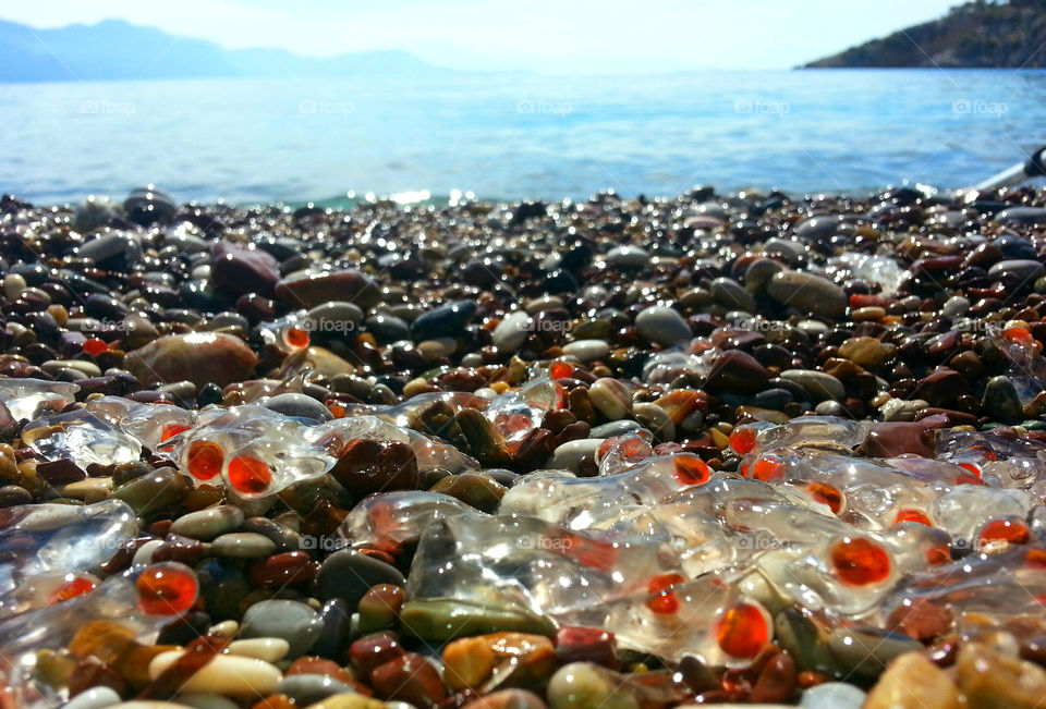 Jellyfish on the seashore. 
○☆●°○ Alepochori, Psatha.
●°•●○▪ Greece.
