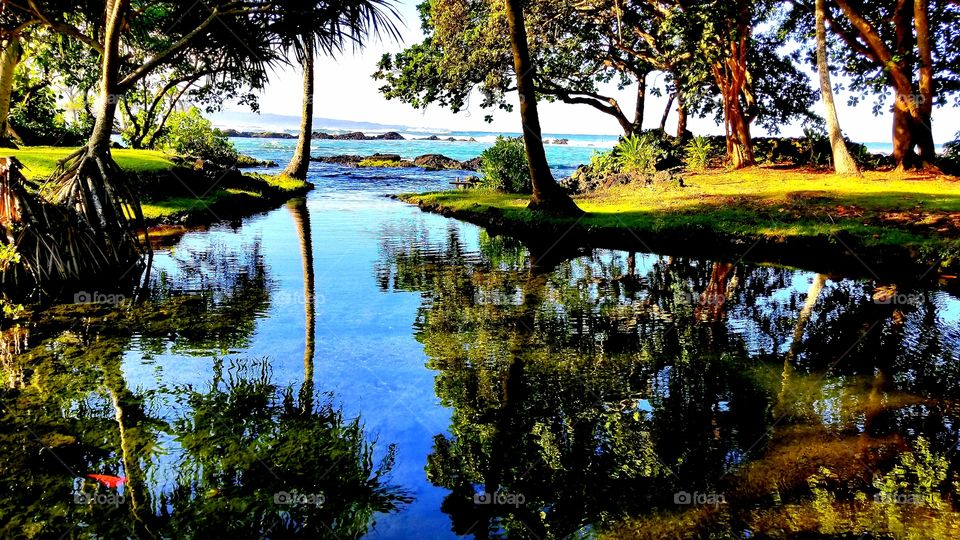 landscape in Hawai'i