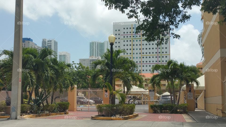 Miami City Buildings