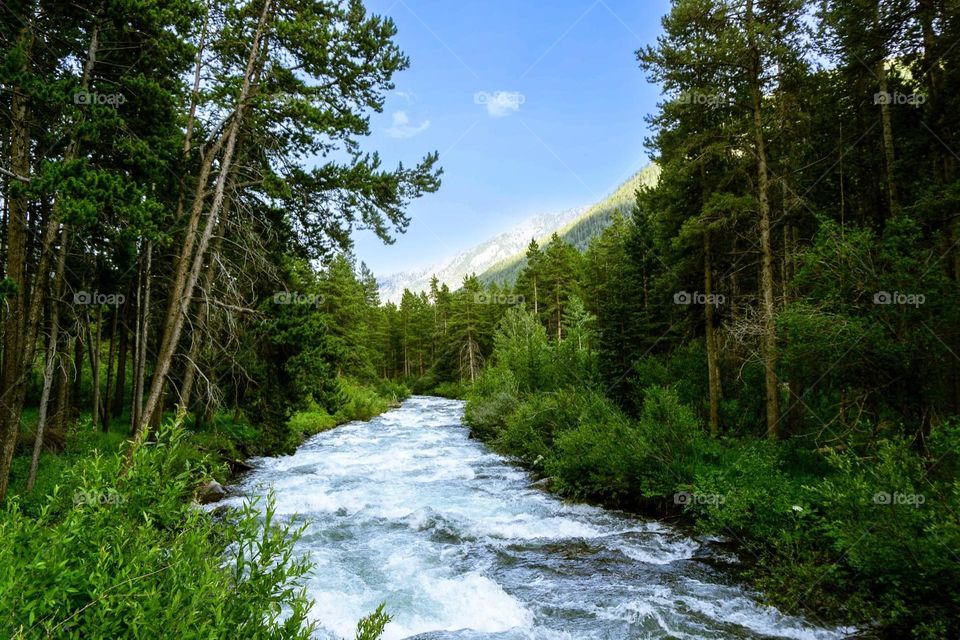 Montana Landscape