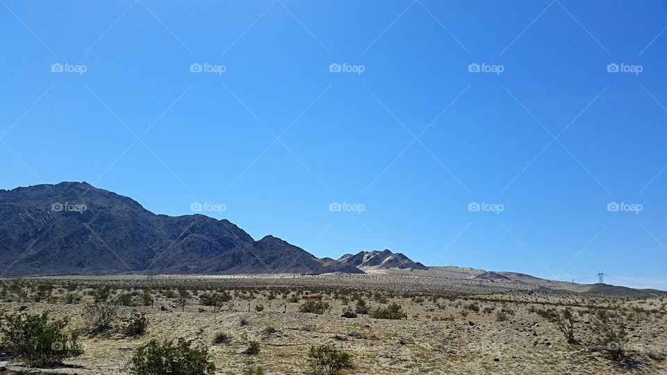 Desert landscape . Southern California Desert