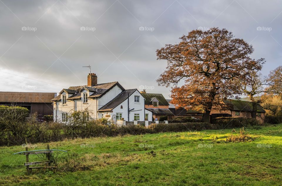 Farm. Farmhouse