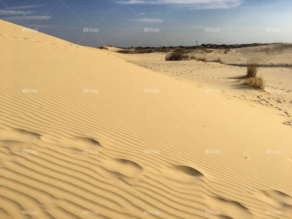 Sand dunes