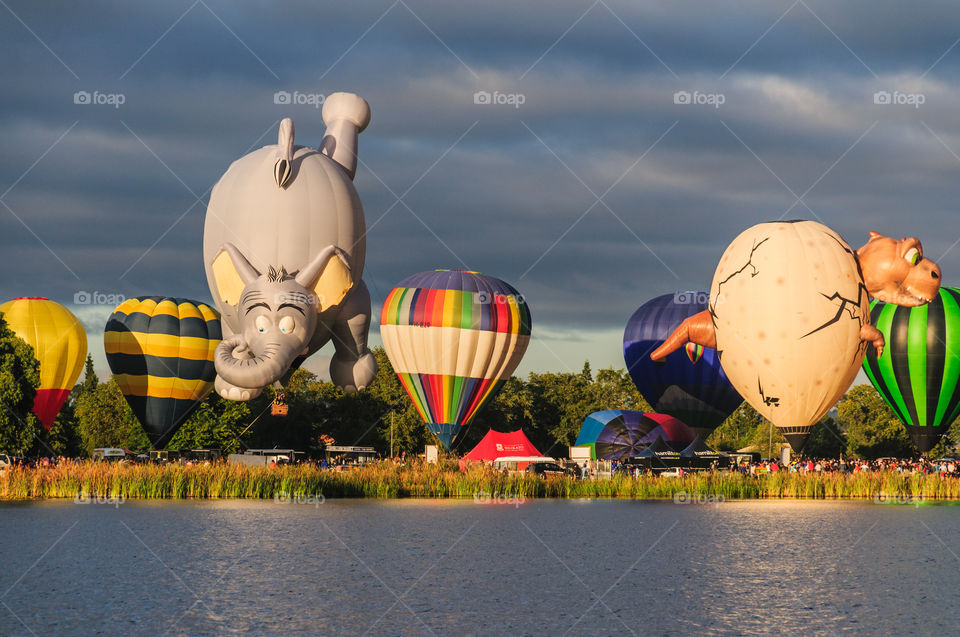 Balloons Over Waitako festival. Hamilton, New Zealand, 2016. 