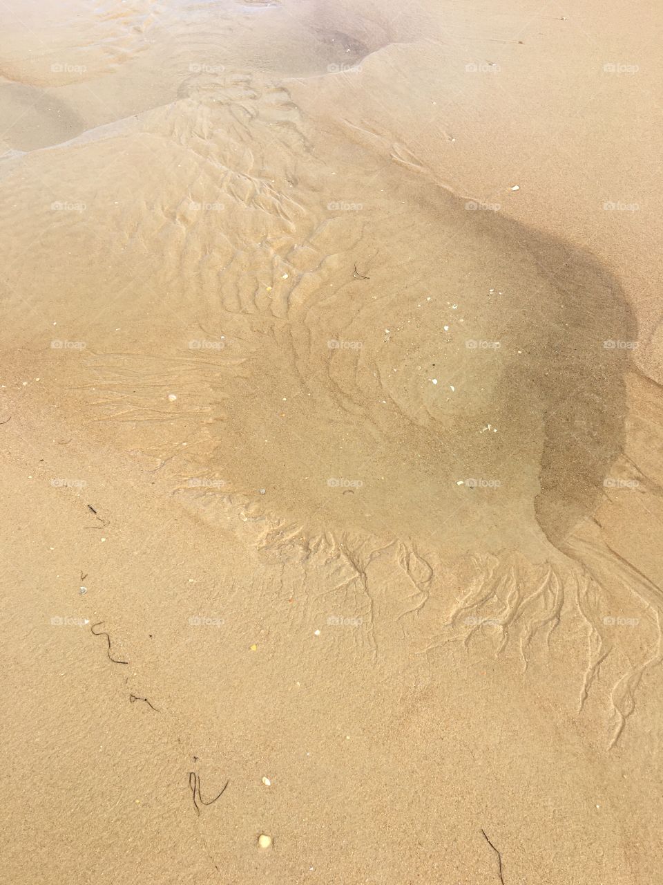 Shapes with sand and water on beach