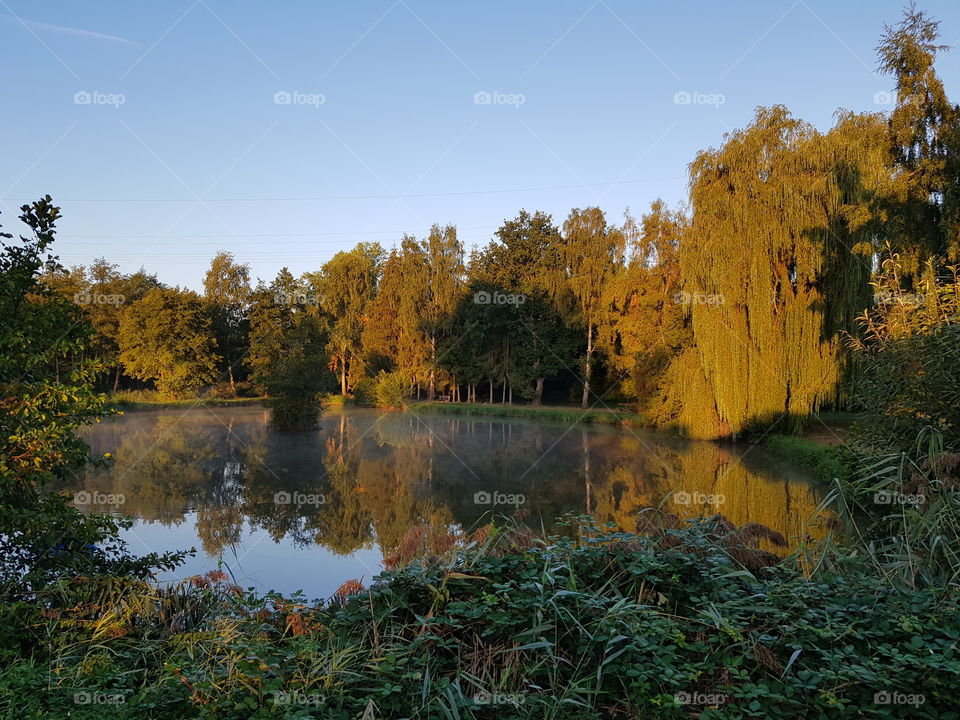 Herbst, Weiher, Autumn