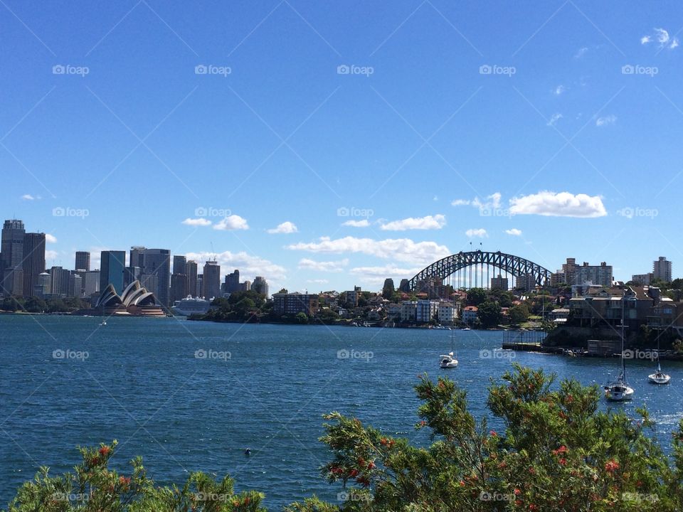 Sydney Harbour Bridge view from Cremorne Point