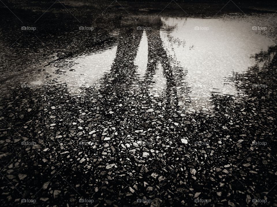 Reflections from a puddle.