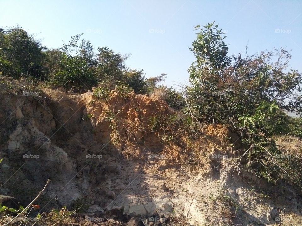 Plateau land in the middle of the forest.