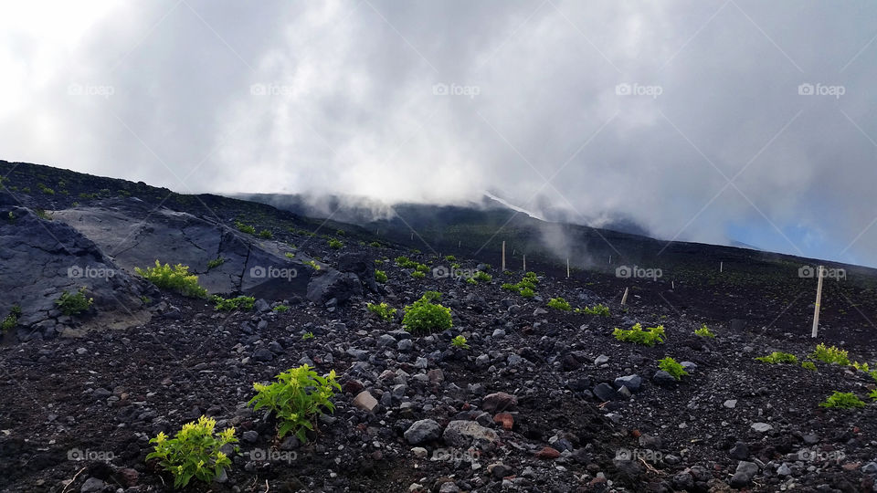 Long way to go up there to the top that you possibly can't imagine where it is. See the white line near the center? Yes, it is.