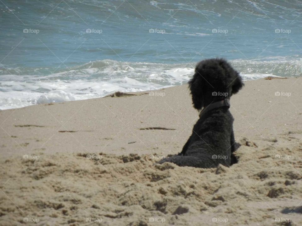 Easter day on the beach