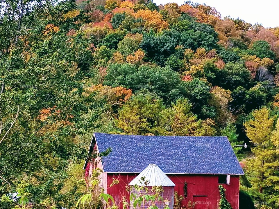 Driving the Back Roads and enjoying everything around us