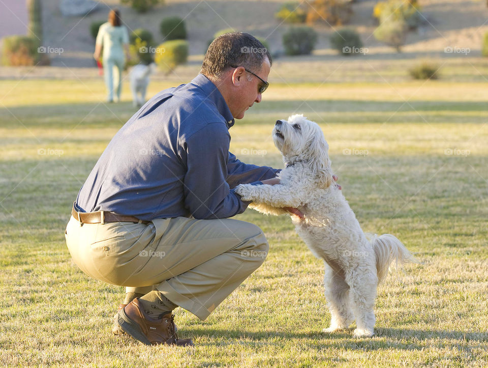 grassland dog mammals man by arizphotog