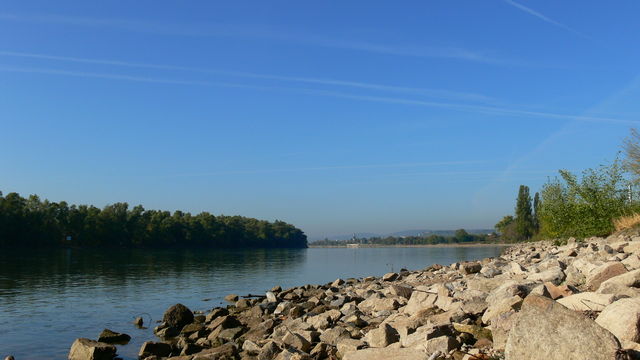 Rhein