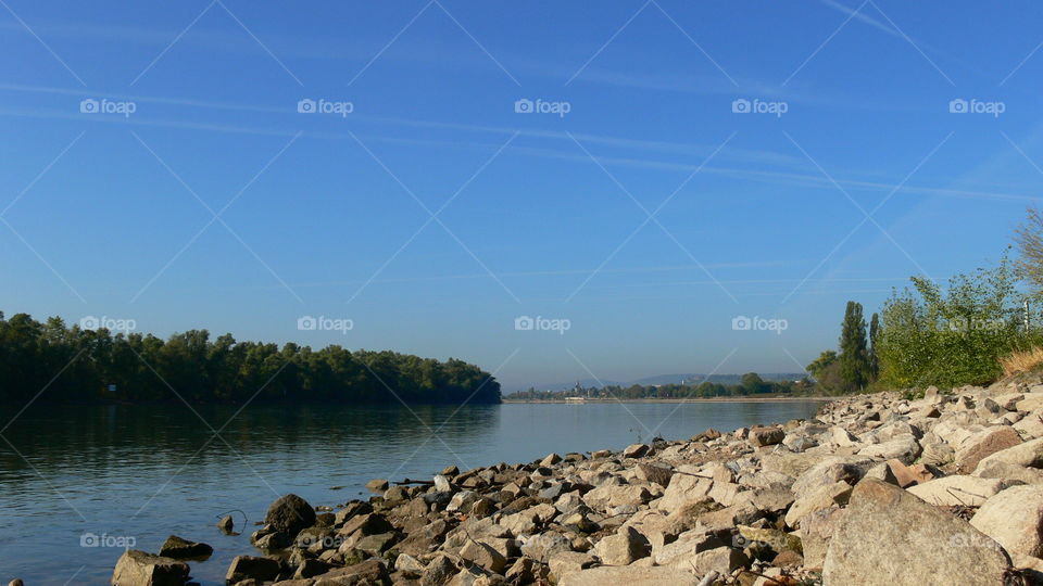 Rhein