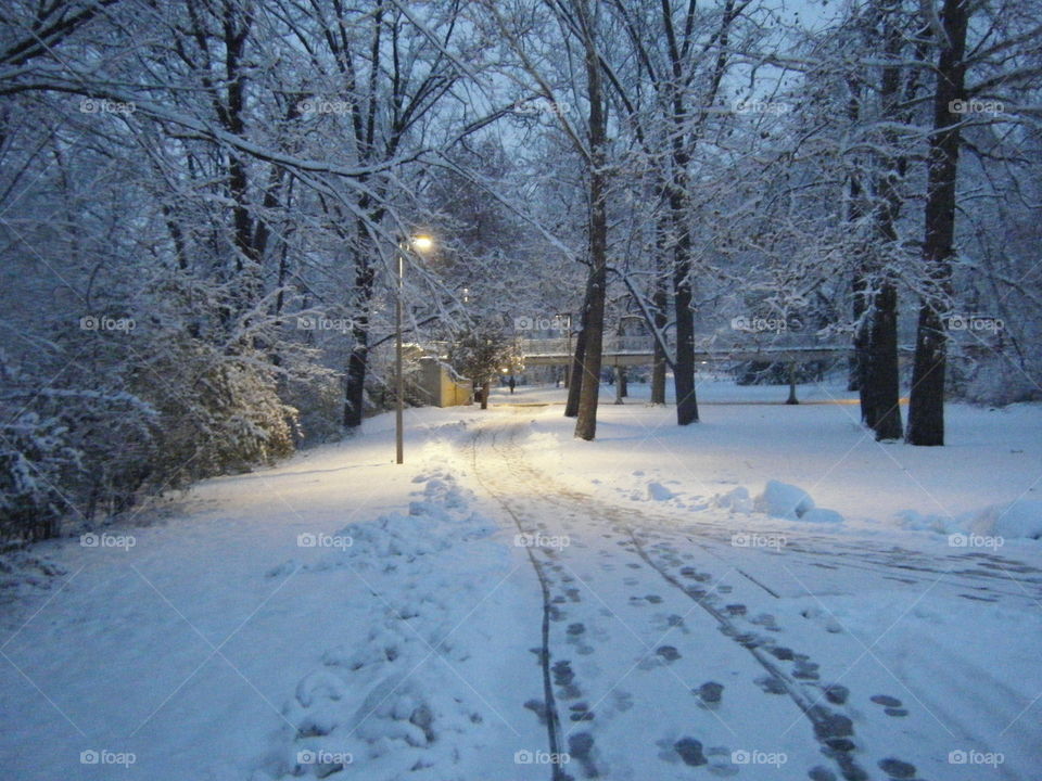 Winter path to the bridge.