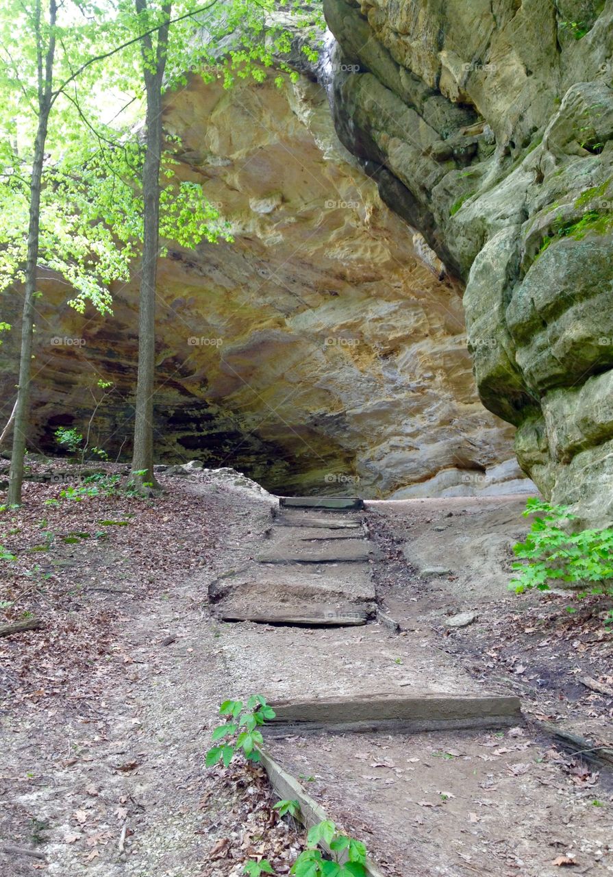 Hiking Trails