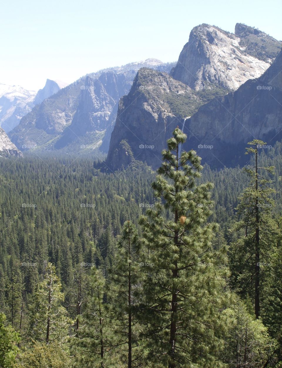 Yosemite vistas - an awesome park and a great place to explore and experience the outdoors