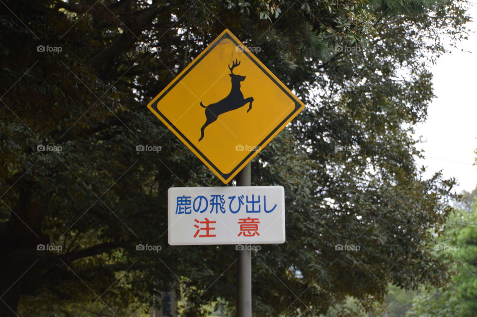 Sign At Nara Japan Be Aware Of Deer