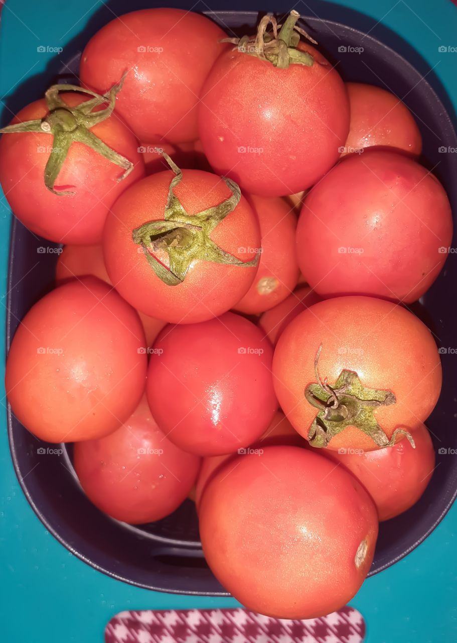 vagitable tamatos