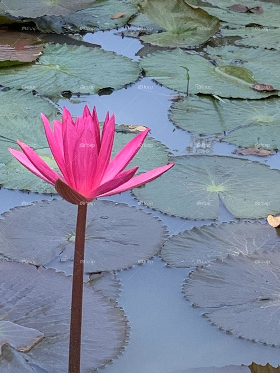 Editors ‘ choice - Photo of the Week.