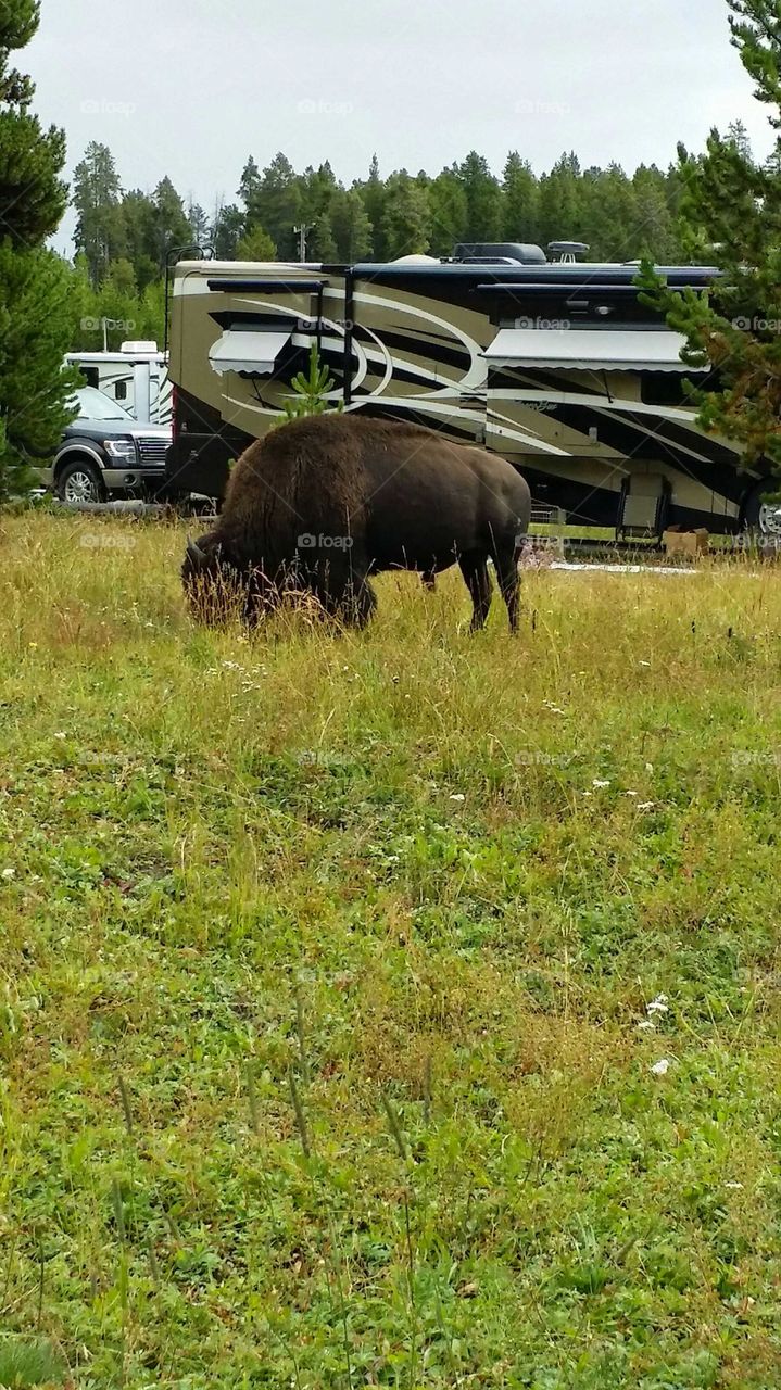 Too Close For Comfort