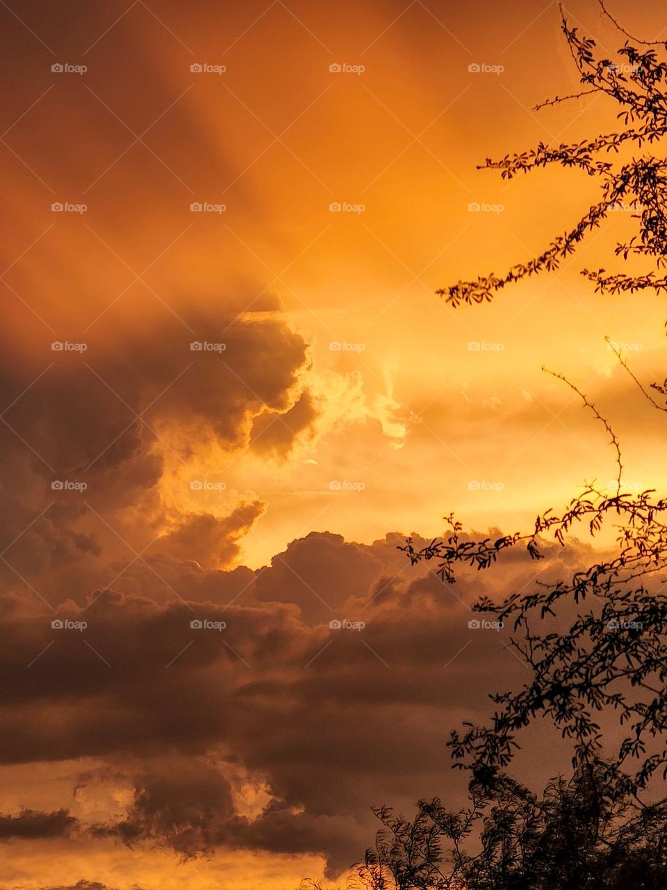 A summer storm creates a vivid sunset of orange hues through dense clouds