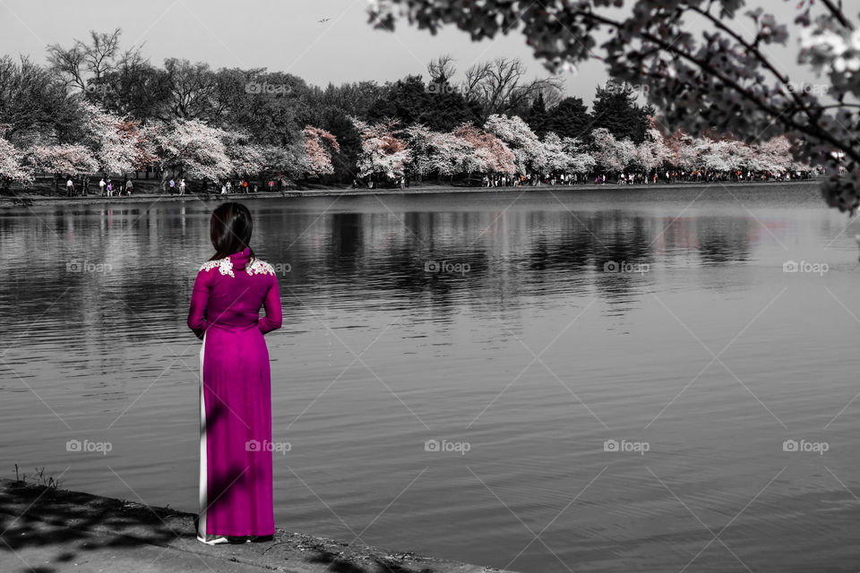 Woman by water cherry blossoms
