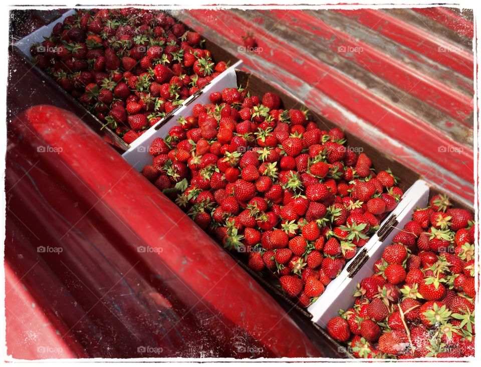 Strawberries in the back of the red truck. I miss you guys. 