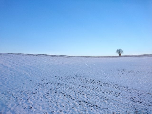 View of a winter landscape