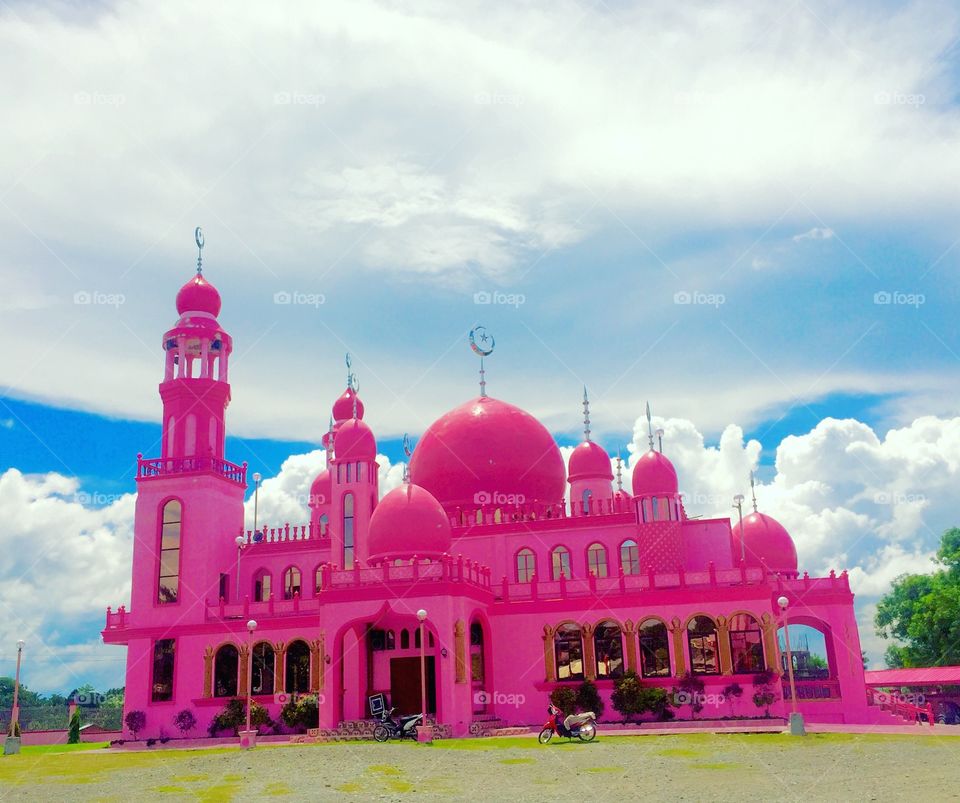 The Pink Mosque 