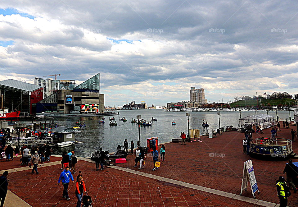Inner Harbor. Baltimore, MD.