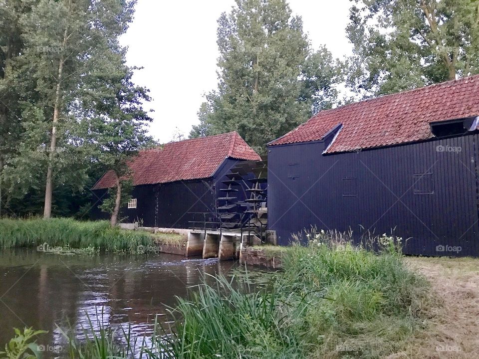 Vincent van Gogh has painted this watermill
