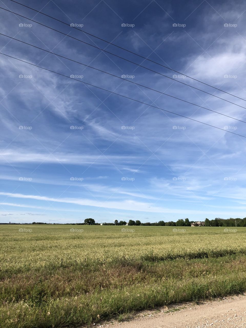 Lovely rural field and sky