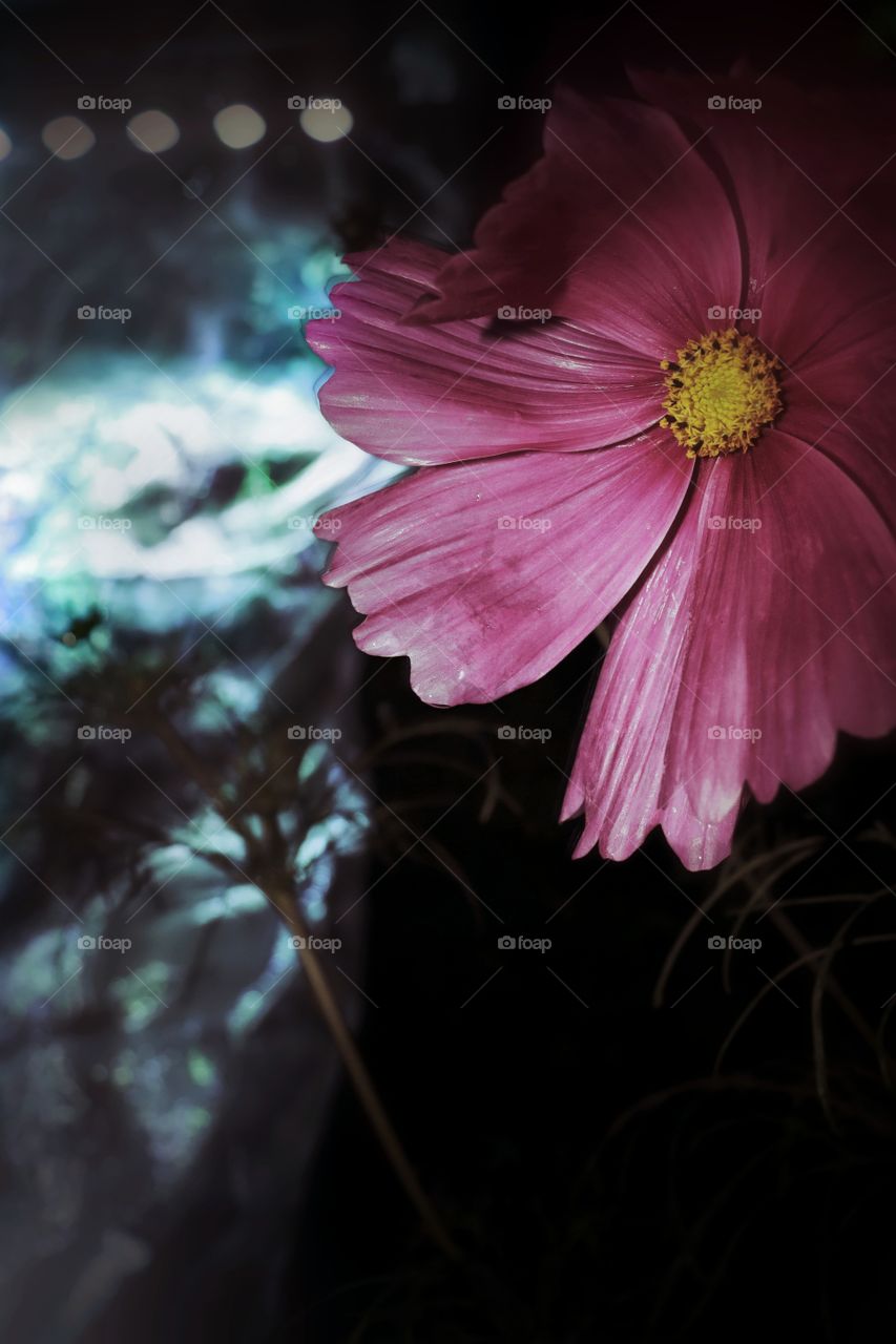 Herbstlichtergarten Hemer