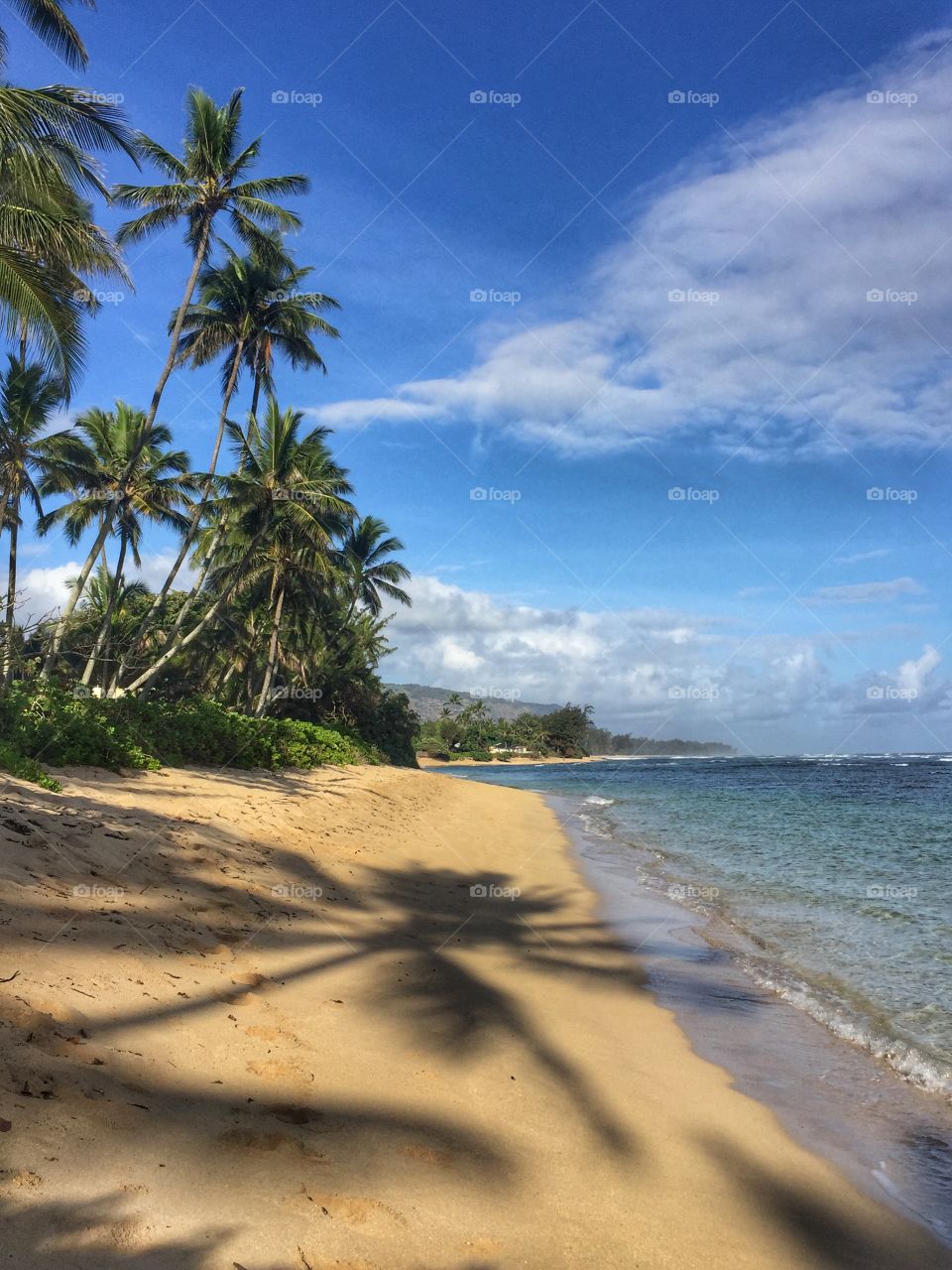 Morning at the beach