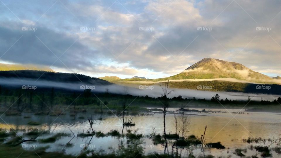 Foggy lake