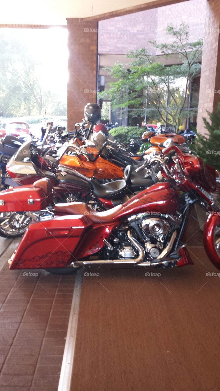 Vehicle, Bike, Race, Transportation System, Road