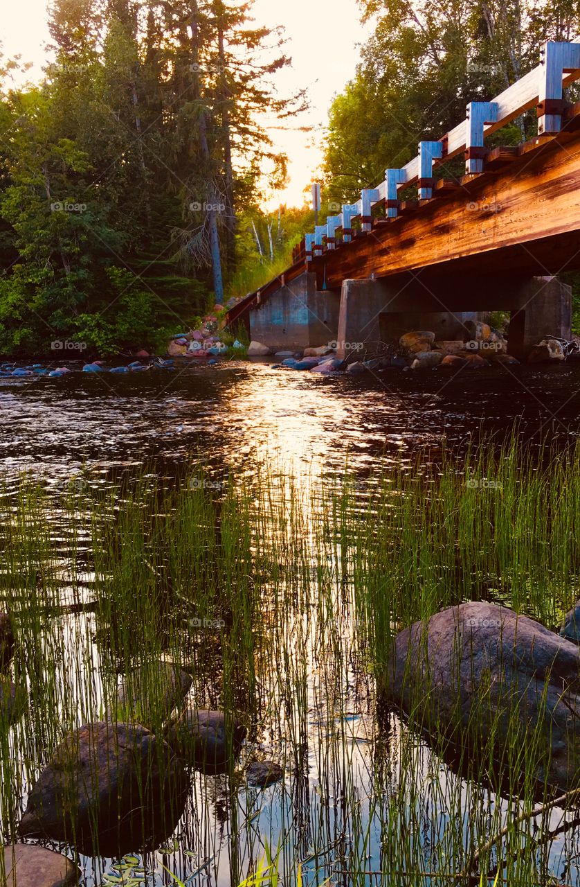 Bridge in Northern Minnesota 