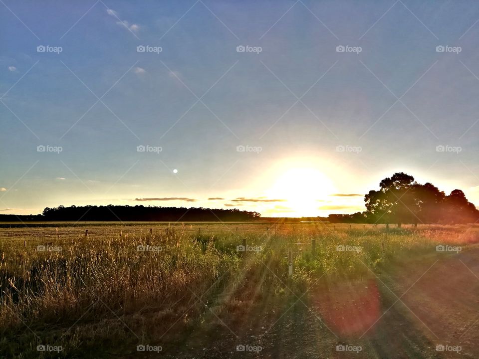 Sunset is still my favorite color, and rainbow is second.