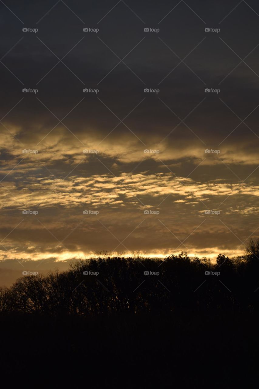 A gloomy sunrise over the trees