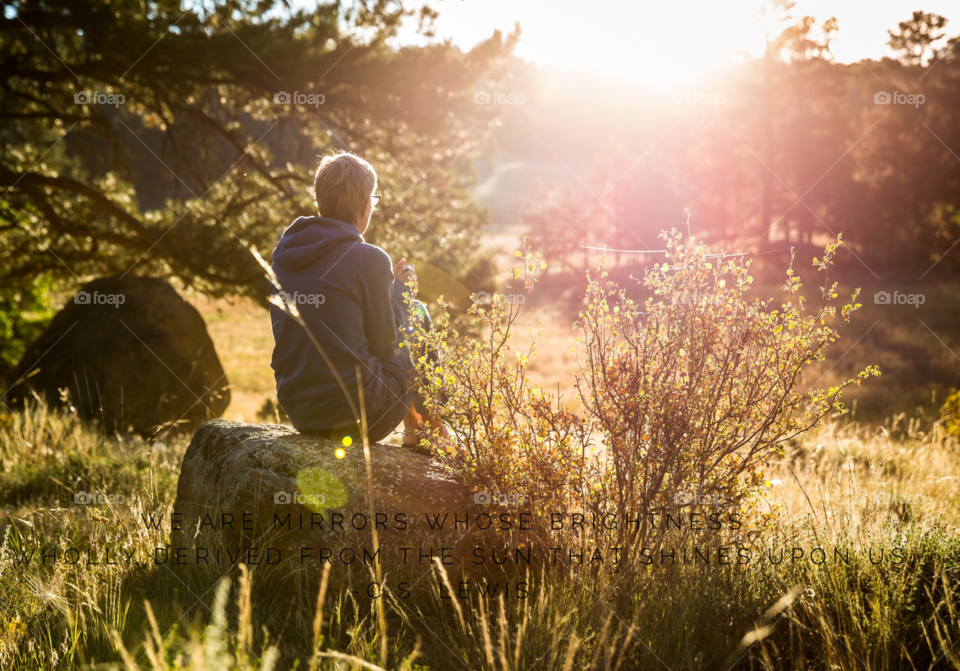 Landscape, Outdoors, Nature, Tree, Grass