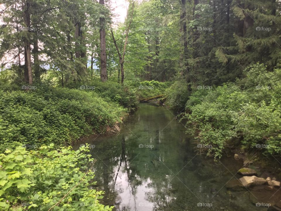 The Vedder River in Chilliwack 